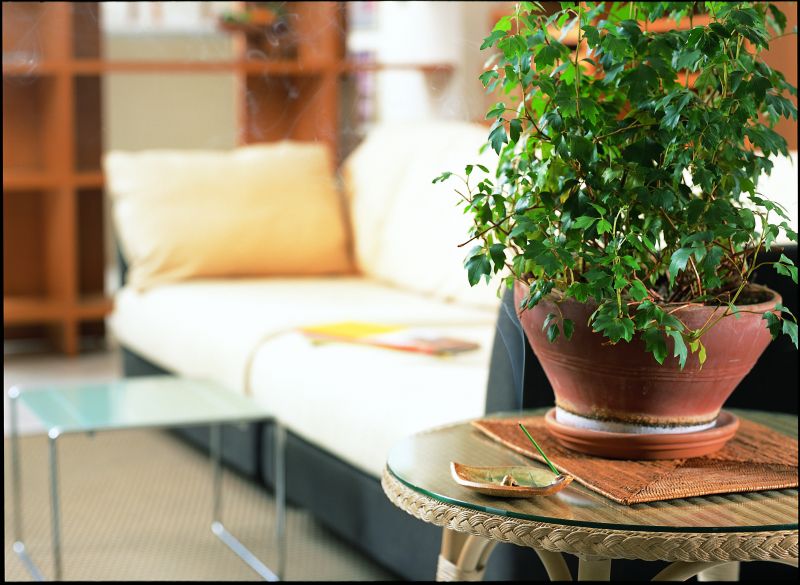 nghệ thuật thưởng hương trong văn hoá Nhật Bản